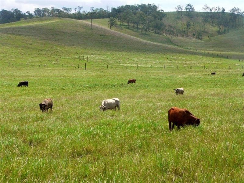 L3 Spring Creek Road, Harlin QLD 4306