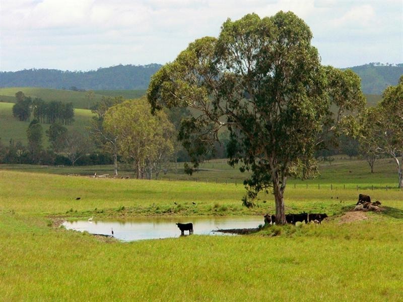 L3 Spring Creek Road, Harlin QLD 4306