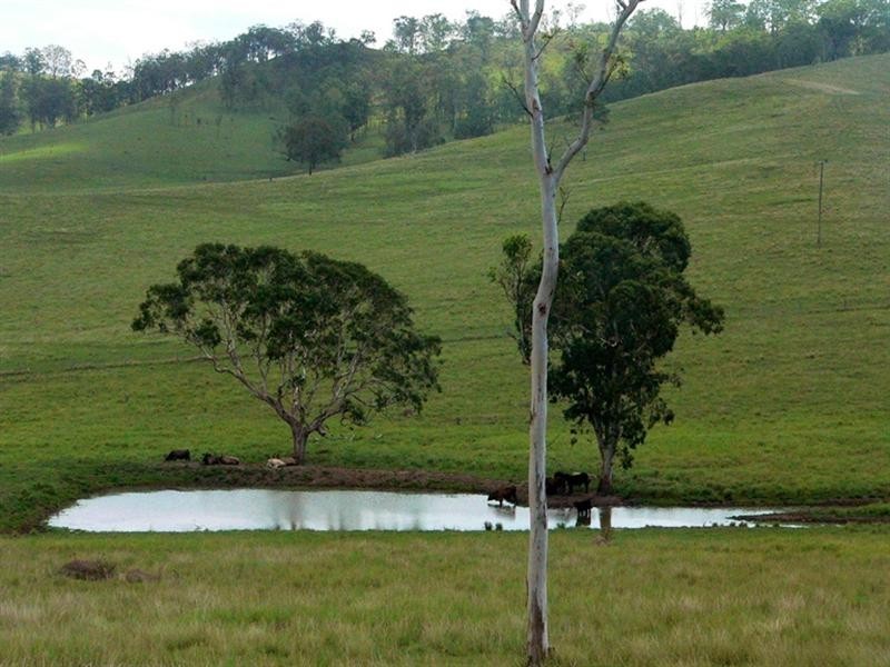 L3 Spring Creek Road, Harlin QLD 4306