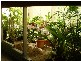 Somerset Dam QLD 4312