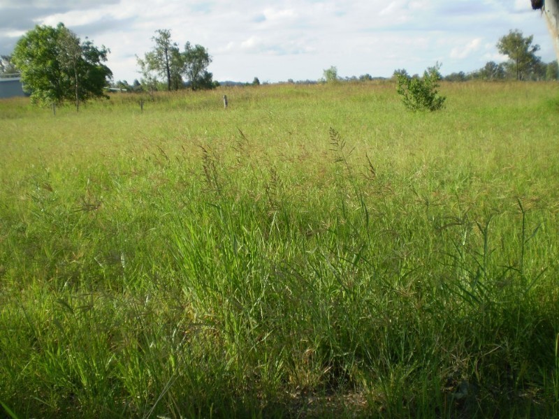 Toogoolawah QLD 4313