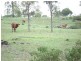 Toogoolawah QLD 4313