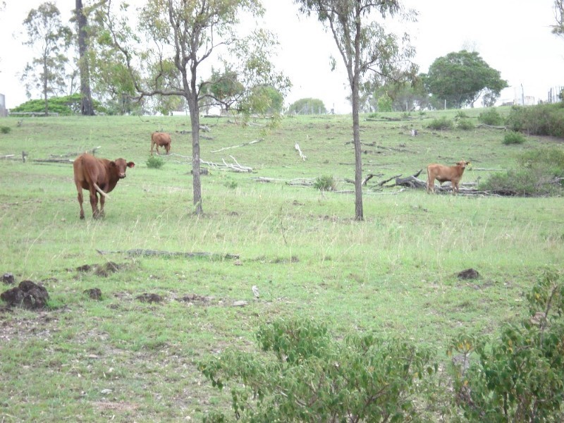 Toogoolawah QLD 4313