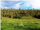 Lot1 Gregors Ck Road, Gregors Creek QLD 4313
