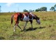 Mount Beppo QLD 4313