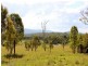 Lot 1 Old Mount   Beppo Road, Toogoolawah QLD 4313