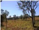 Lot 1 Gregors Ck Road, Gregors Creek QLD 4313