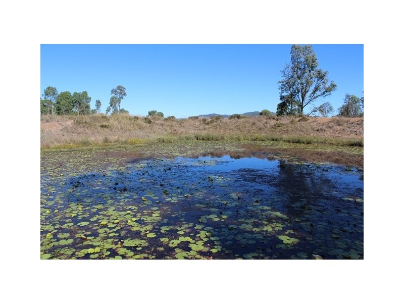 Ivory Creek QLD 4313