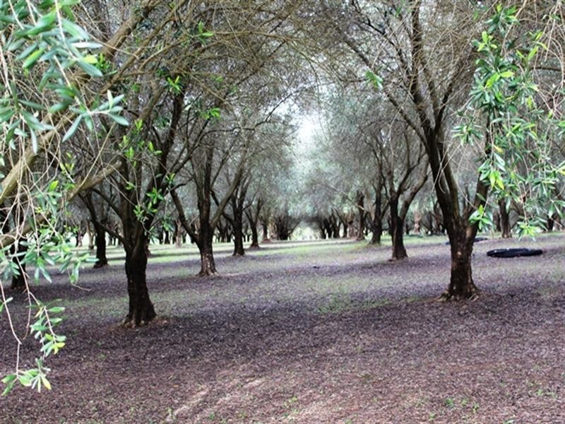 Redbank Creek QLD 4312