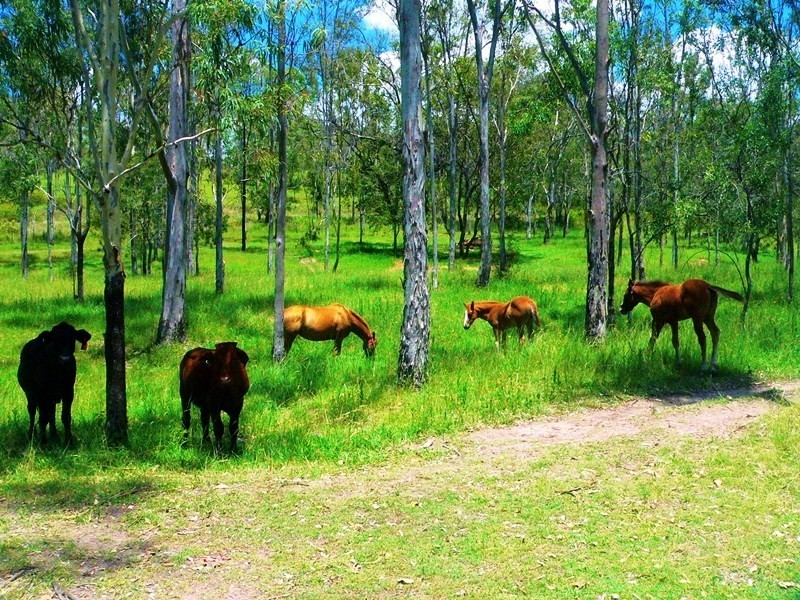 22 Calcite Road, Biarra QLD 4313