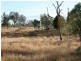 Blackbutt QLD 4306