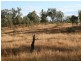 Blackbutt QLD 4306
