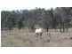 Toogoolawah QLD 4313