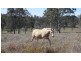 Toogoolawah QLD 4313