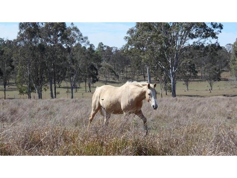 Toogoolawah QLD 4313