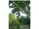 0 Blackbutt Crows Nest Road, Blackbutt QLD 4306
