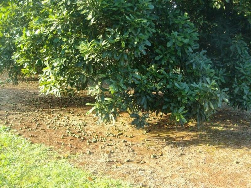 0 Blackbutt Crows Nest Road, Blackbutt QLD 4306