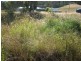Moore QLD 4306