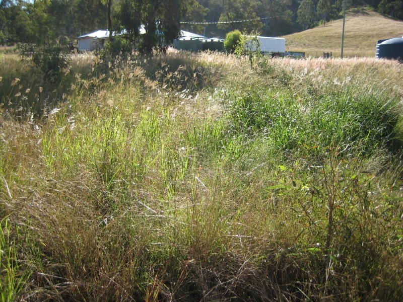Moore QLD 4306