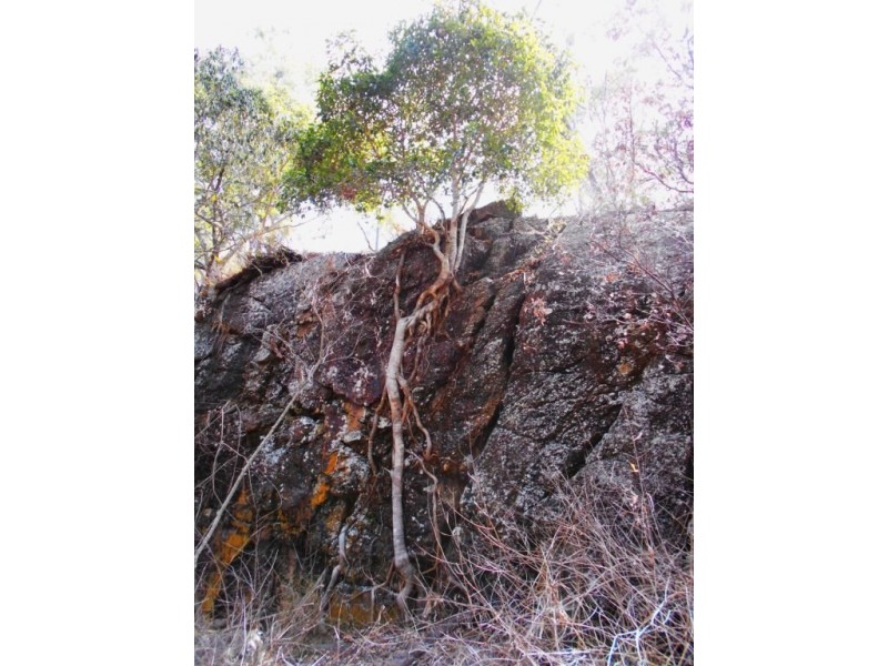 Biarra QLD 4313