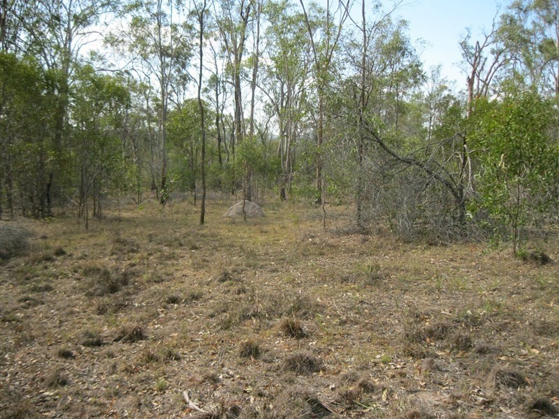 0 Sandy Ridges Road, Sandy Ridges QLD 4615