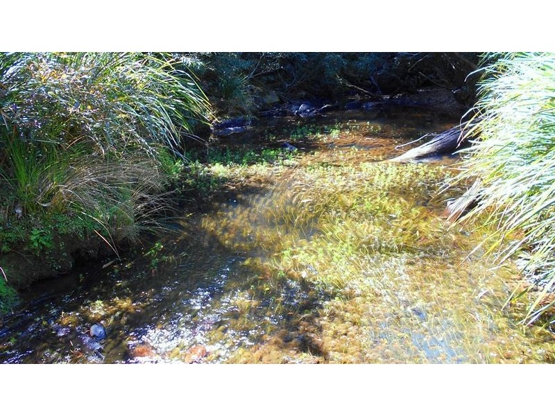 Jimna QLD 4515