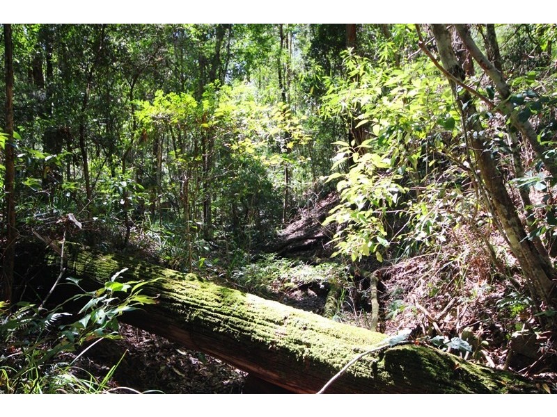 Jimna QLD 4515
