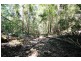 Jimna QLD 4515