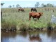 7905 Brisbane Valley Highway, Yimbun QLD 4313