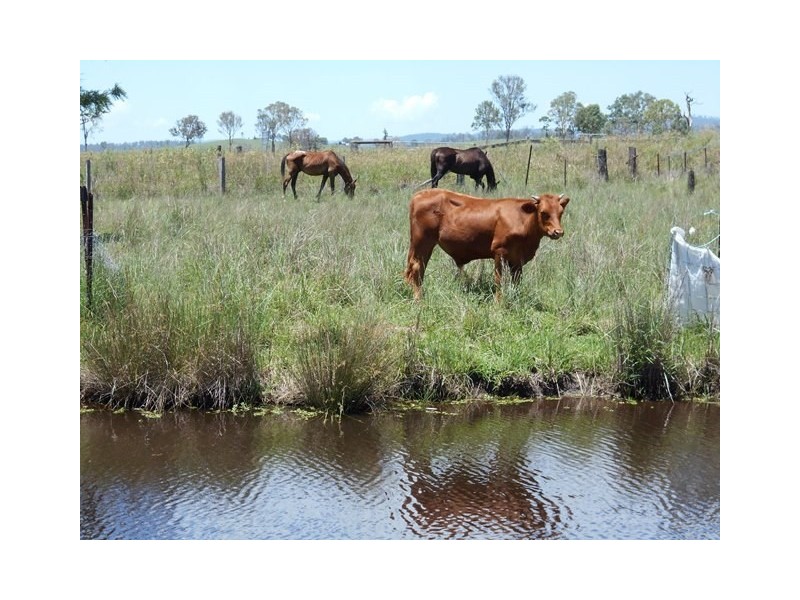 7905 Brisbane Valley Highway, Yimbun QLD 4313