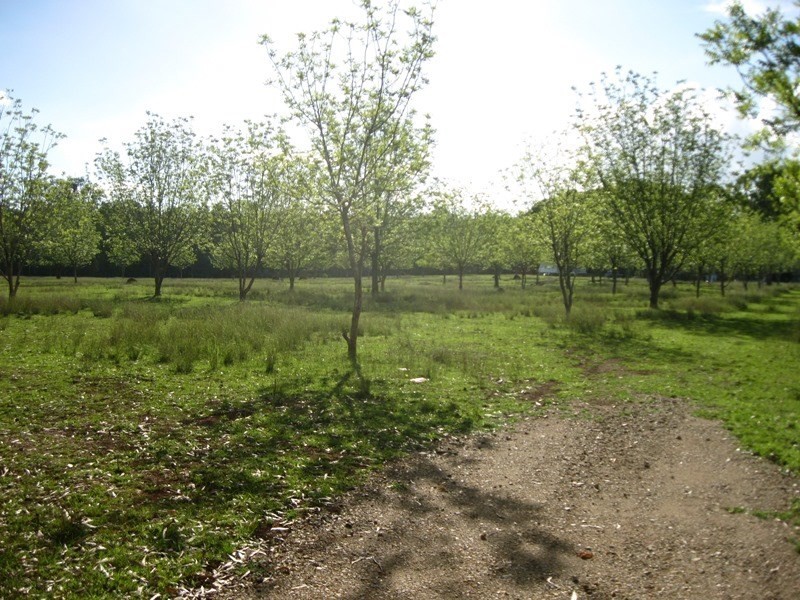 Cherry Creek QLD 4306