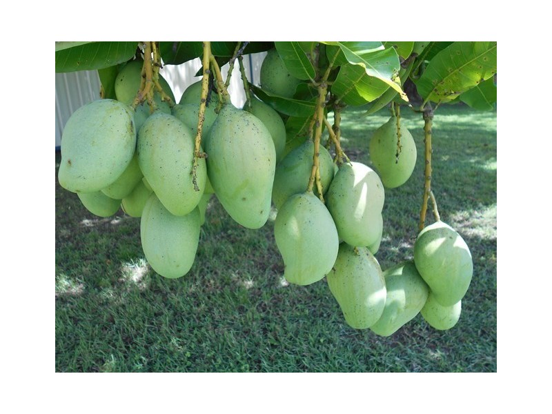 Toogoolawah QLD 4313