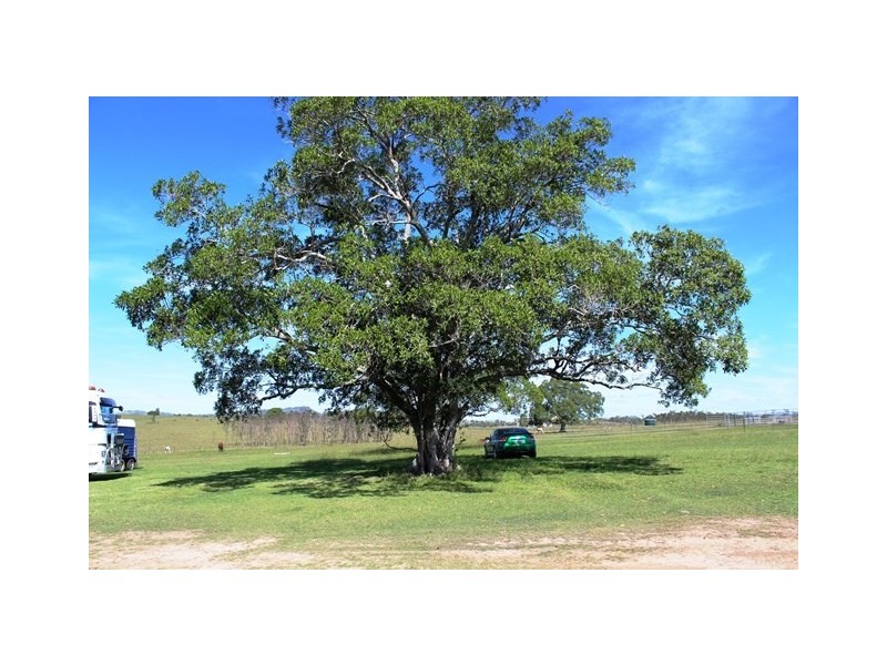 Mount Beppo QLD 4313