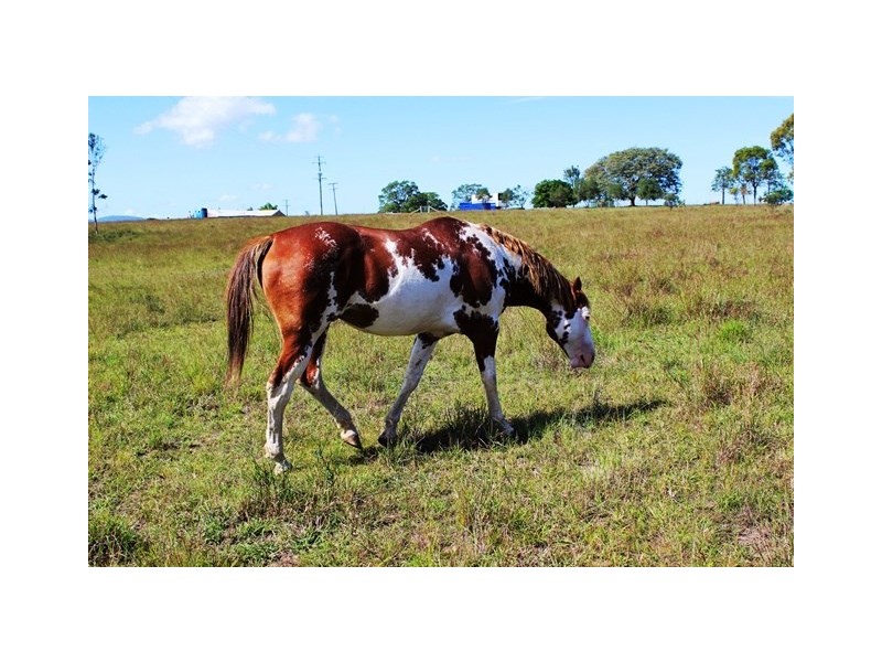 Mount Beppo QLD 4313