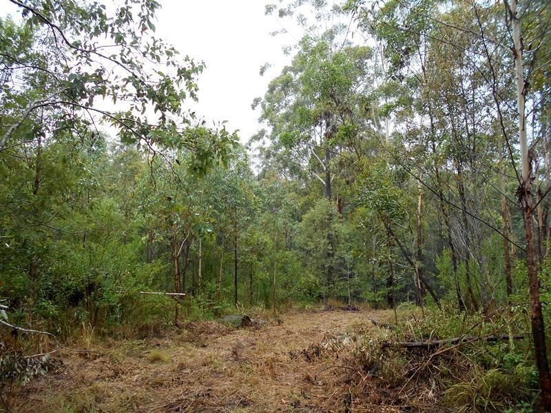 Blackbutt QLD 4306