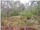 Blackbutt QLD 4306