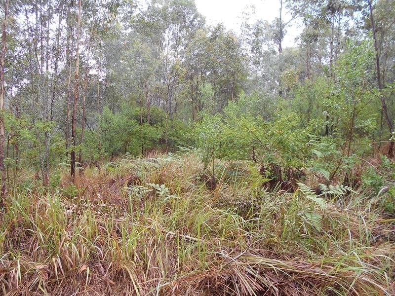 Blackbutt QLD 4306