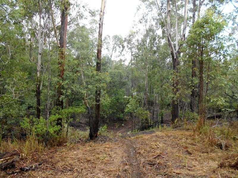 Blackbutt QLD 4306