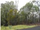 Blackbutt QLD 4306