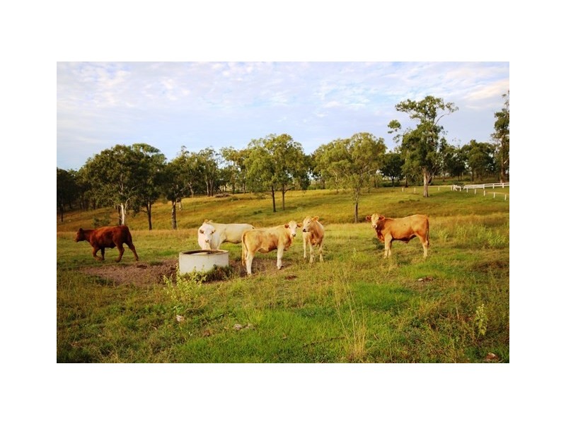 715 Maria Creek Rd,, Eskdale QLD 4312