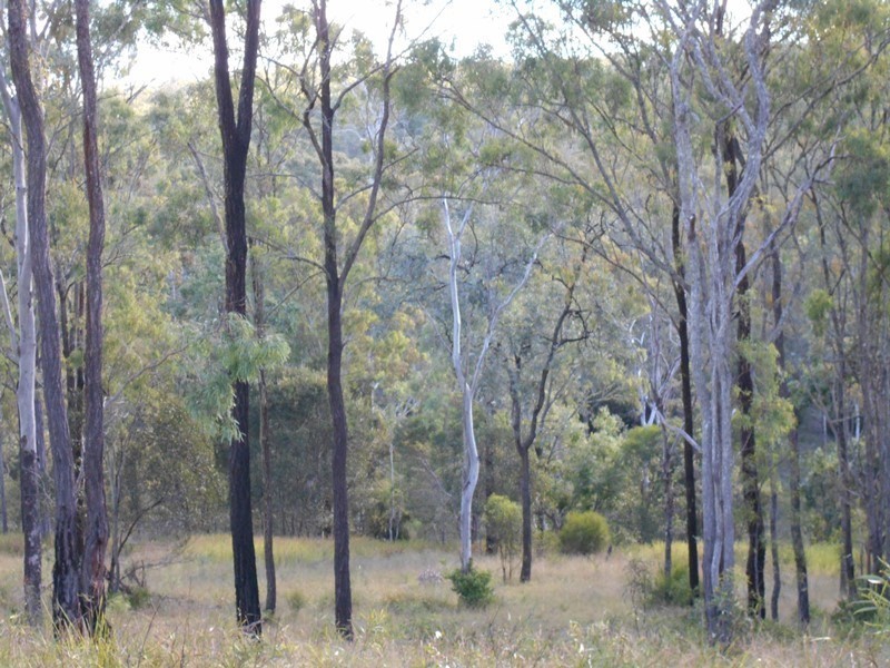 Lot 3 Pamela, Blackbutt QLD 4306