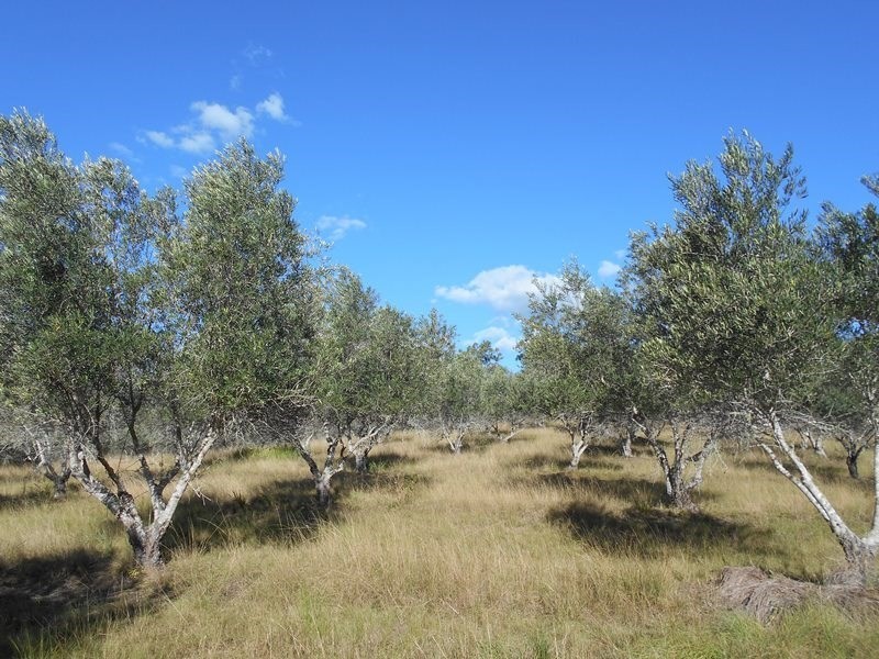 Lot 3 Pamela, Blackbutt QLD 4306