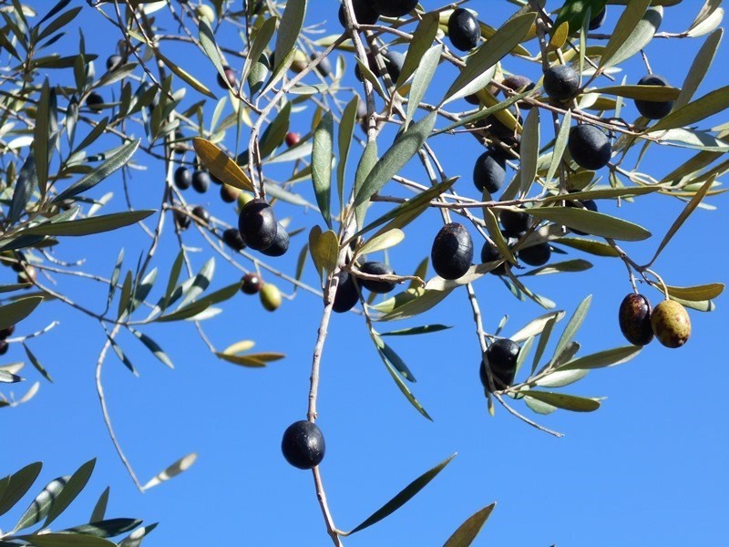 Lot 3 Pamela, Blackbutt QLD 4306