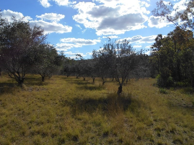 Lot 3 Pamela, Blackbutt QLD 4306