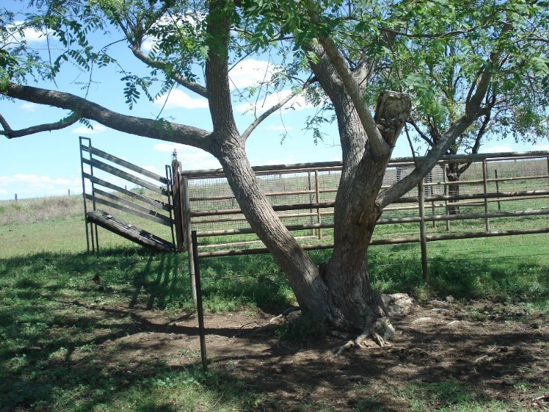 Colinton QLD 4306