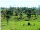 8031 D’Aguilar Highway, Colinton QLD 4306