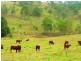 8031 D’Aguilar Highway, Colinton QLD 4306