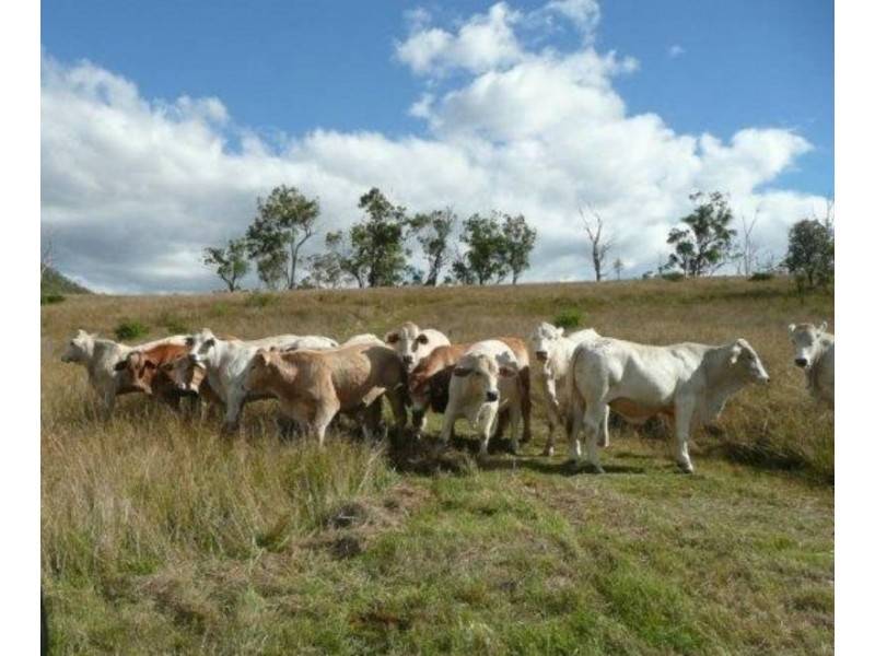 Lot 1 D’AGUILAR Highway, Moore QLD 4306