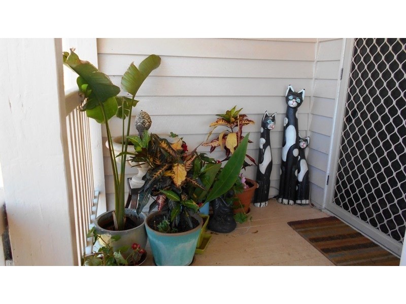 Mount Beppo QLD 4313