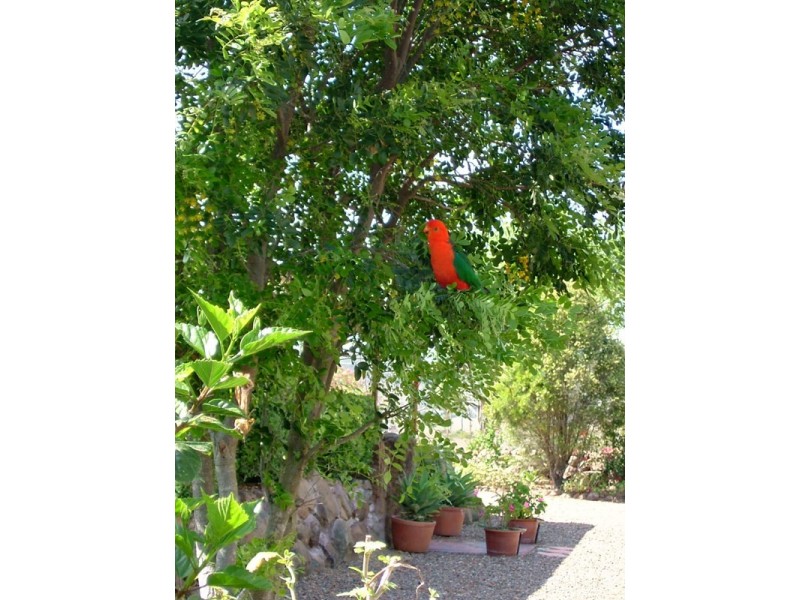 Toogoolawah QLD 4313